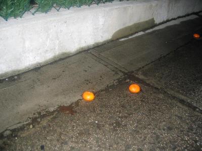 Lost oranges